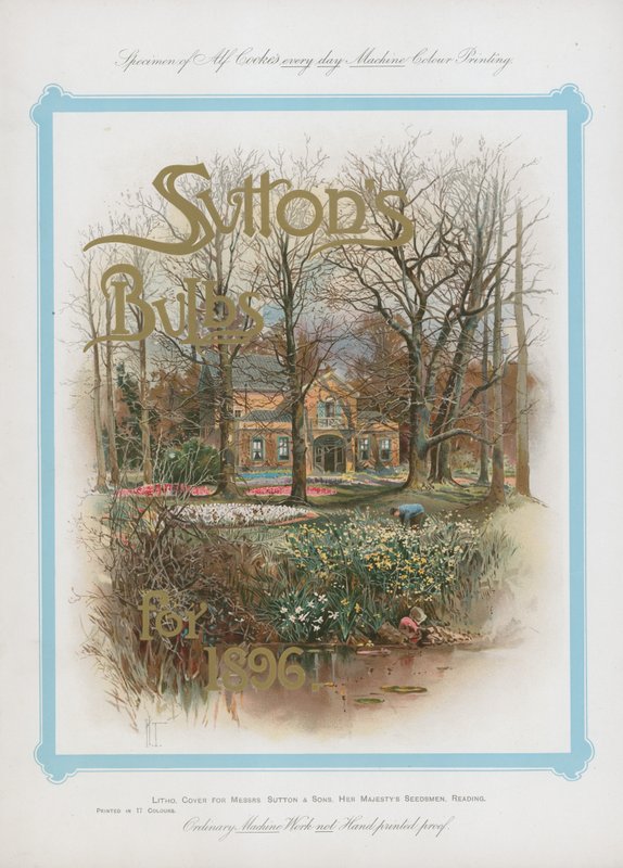 Suttons灯泡为1896年 作者 英语学校