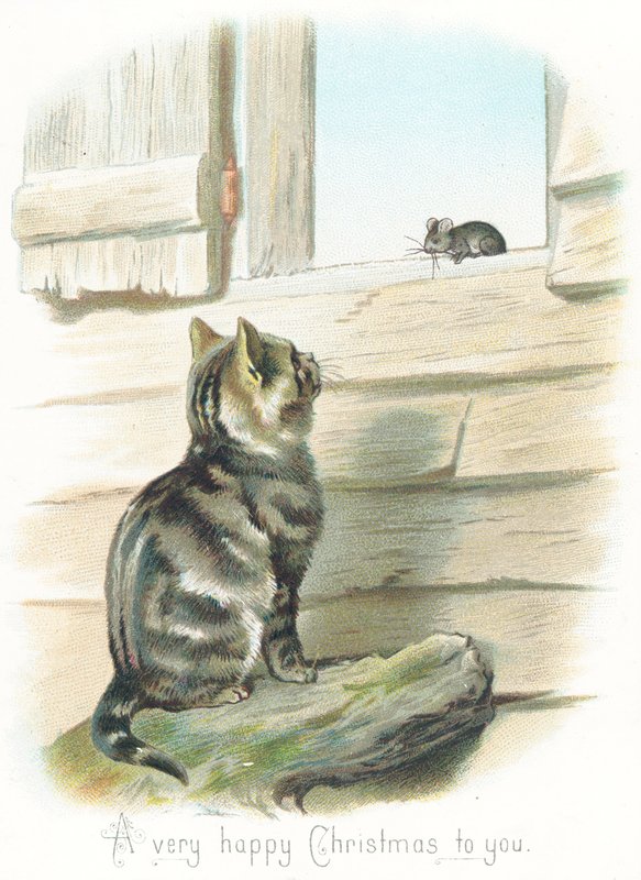 虎斑猫盯着老鼠，圣诞贺卡 作者 英语学校