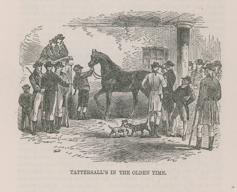 Tattersalls在古代 作者 英语学校