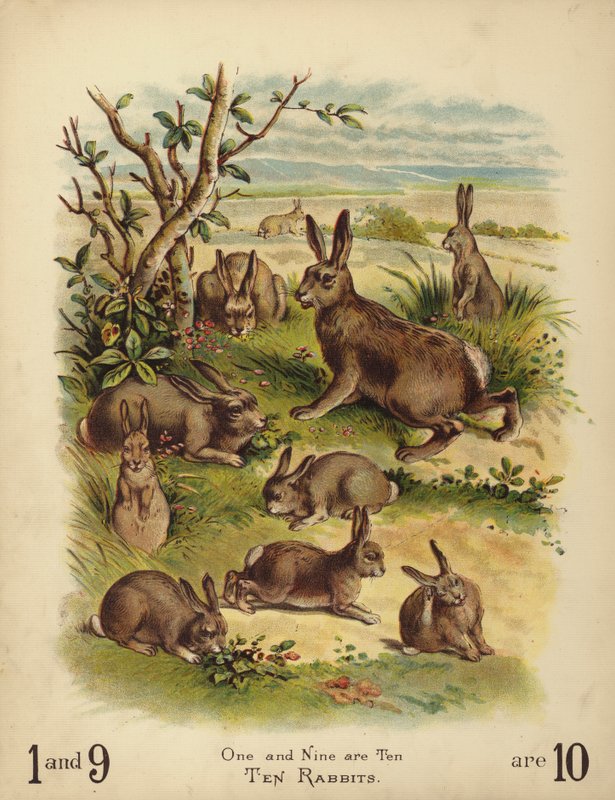 十只兔子（chromolitho） 作者 英语学校