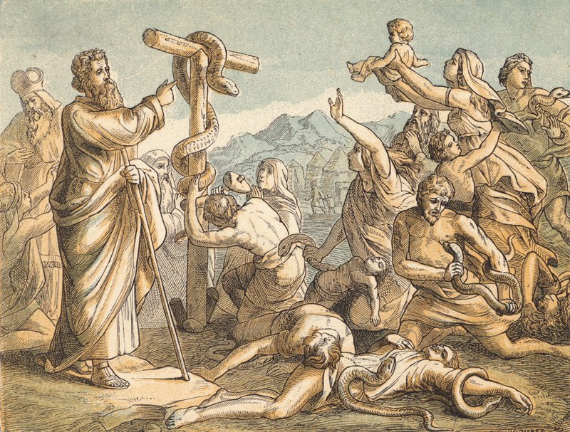 The Brazen Serpent (coloured engraving) 作者 英语学校