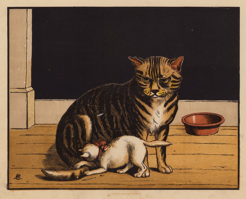 猫》（彩色印刷版） 作者 英语学校