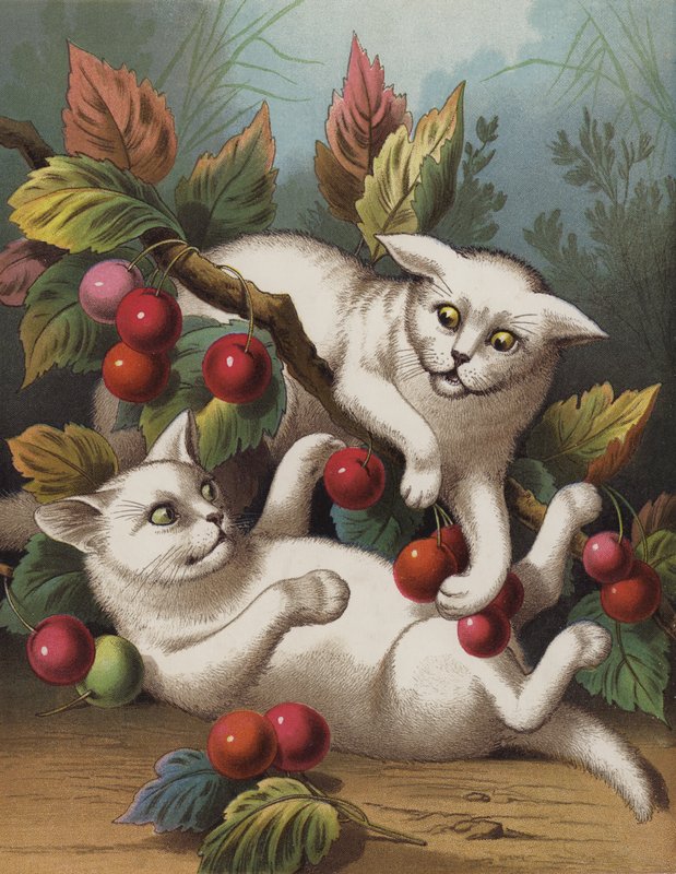 十字架上的小猫（chromolitho） 作者 英语学校