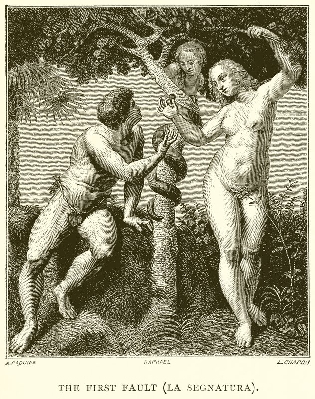 第一次错误（La Segnatura） 作者 英语学校