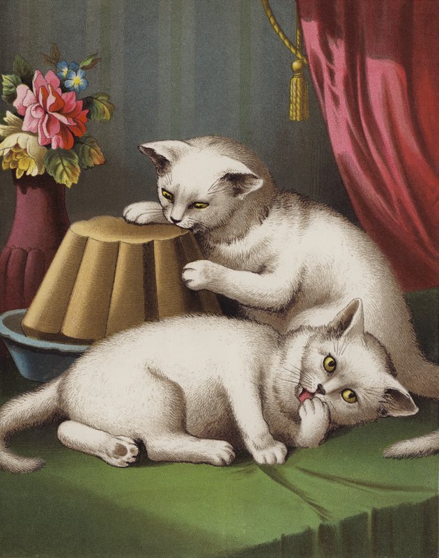 贪婪的小猫（chromolitho） 作者 英语学校