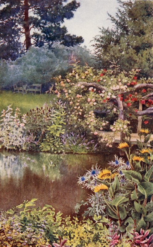香草花园水边的草本植物（彩色石版画） 作者 英语学校