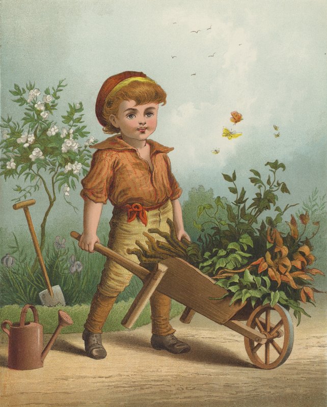 小园丁 (chromolitho) 作者 英语学校