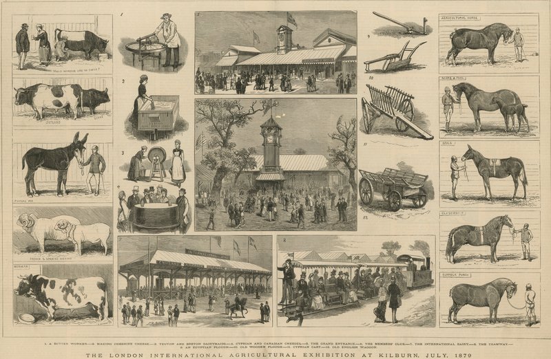 1879年7月在基尔本举行的伦敦国际农业展览会 作者 英语学校
