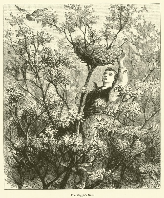 鹊巢》（雕刻） 作者 英语学校