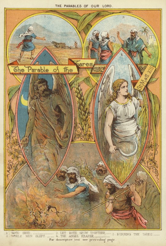 基督的比喻。稗子的比喻 (chromolitho) 作者 英语学校