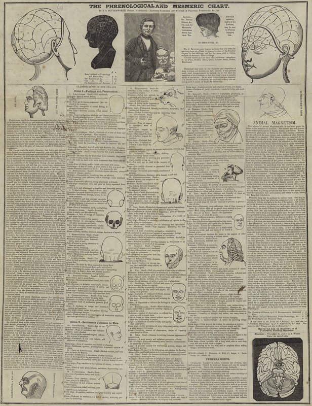Phrenological和Mesmeric图表 作者 英语学校