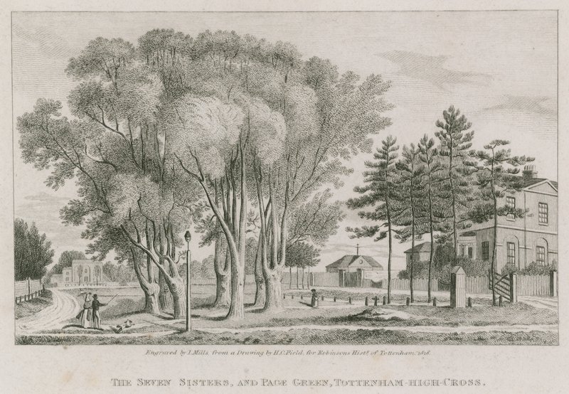 The Seven Sisters和Page Green，Tottenham High-Cross，伦敦 作者 英语学校