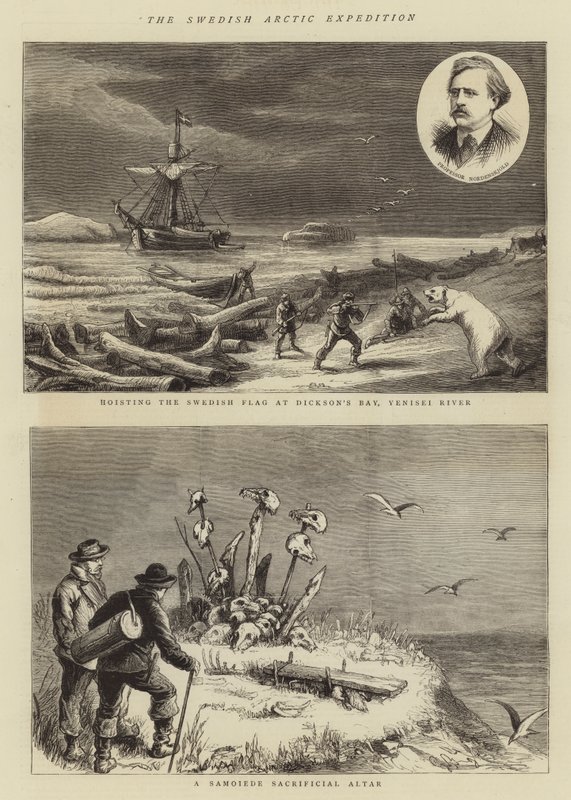 The Swedish Arctic Expedition (engraving) 作者 英语学校