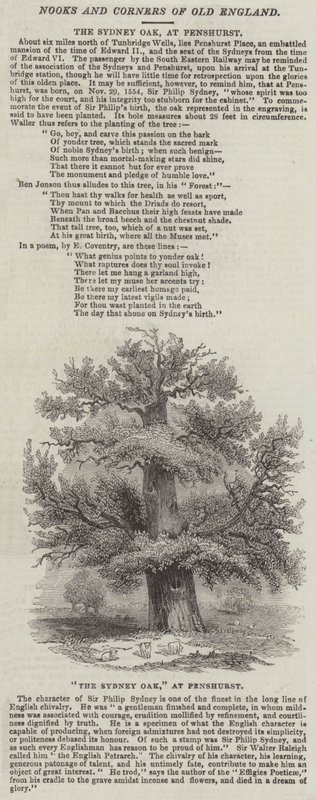 悉尼橡树，在彭斯赫斯特（雕刻） 作者 英语学校