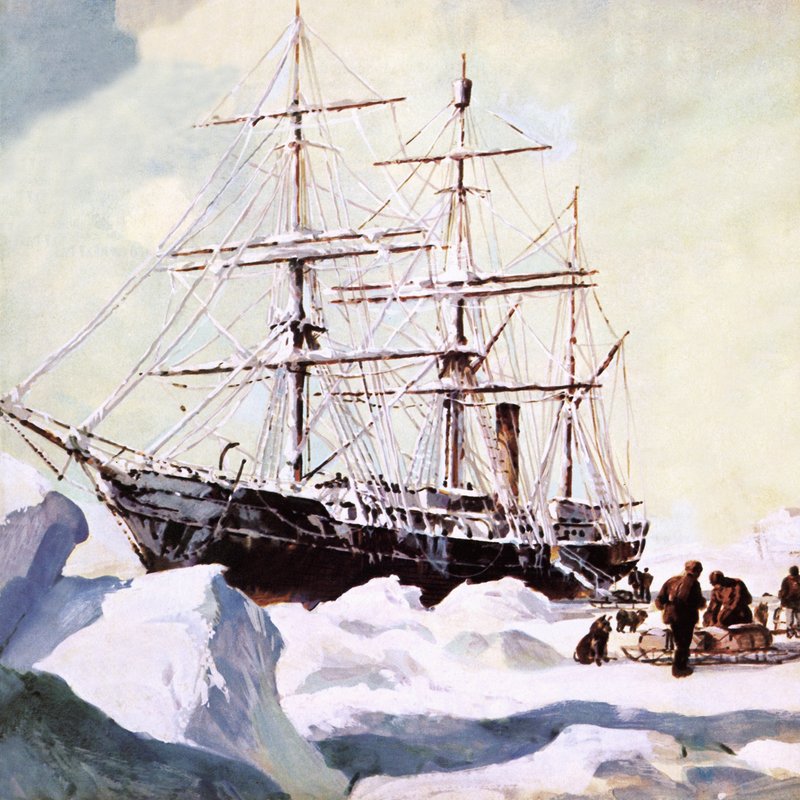 南极的Terra Nova 作者 英语学校