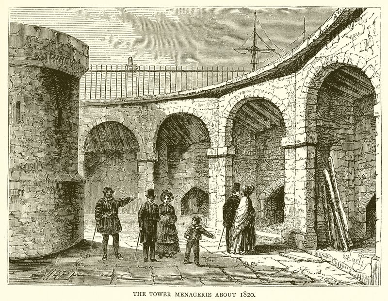 Tower Menegerie大约1820年 作者 英语学校