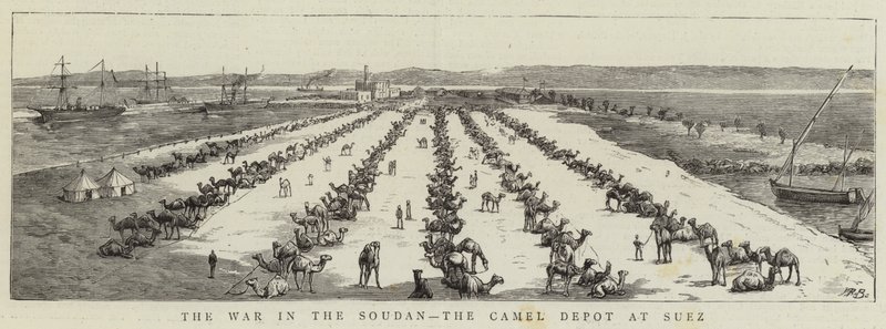 The War in the Soudan, the Camel Depot at Suez (engraving) 作者 英语学校