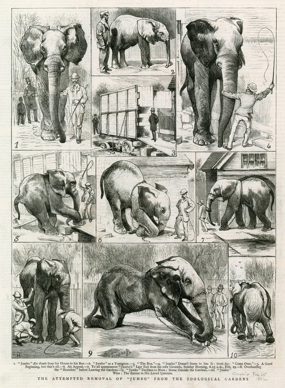 试图从动物园中移除Jumbo 作者 英语学校