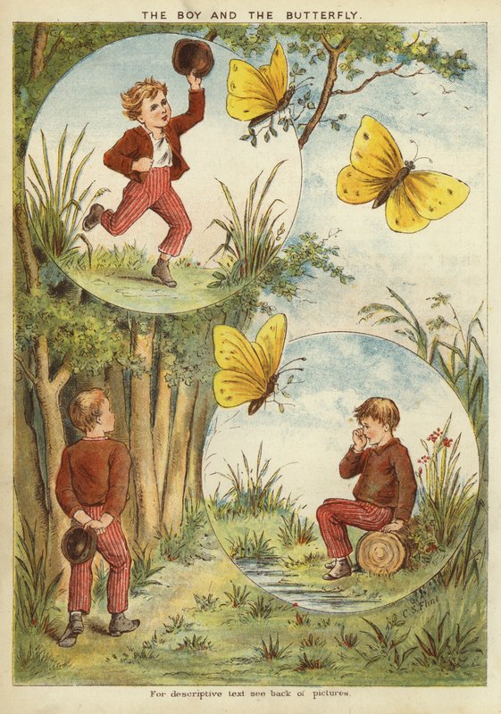 男孩和蝴蝶(chromolitho) 作者 英语学校