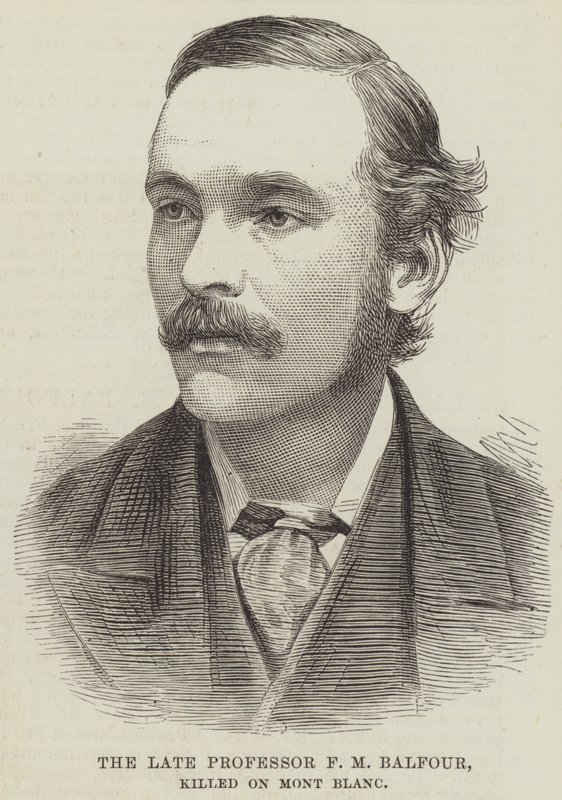 已故的 F M Balfour 教授，在勃朗峰遇难（雕刻） 作者 英语学校