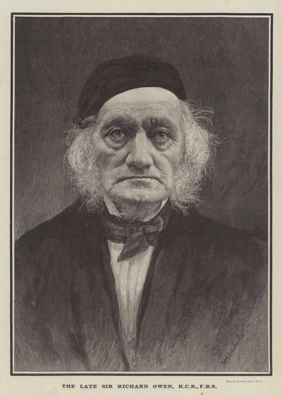 The late Sir Richard Owen, KCB, FRS (engraving) 作者 英语学校
