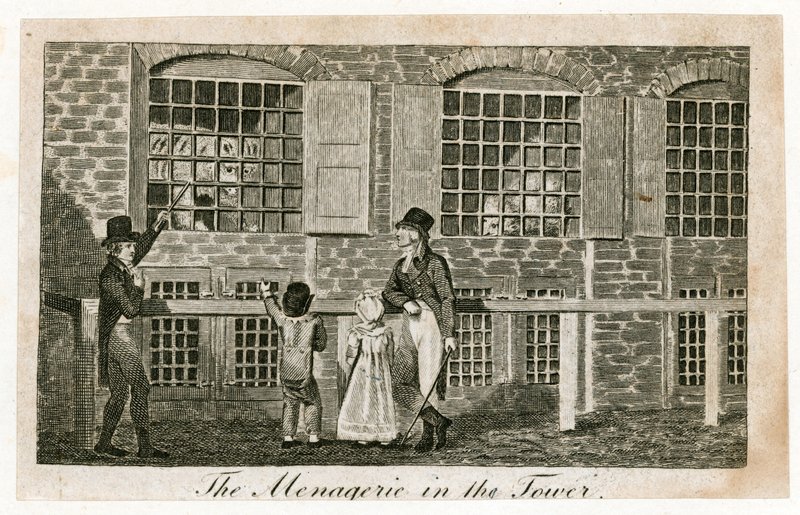 1820年伦敦塔中的动物园 作者 英语学校