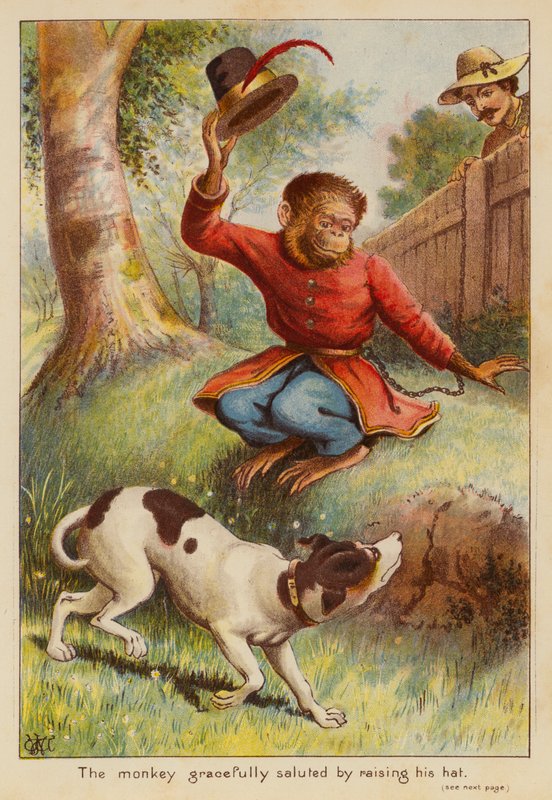 猴子优雅地举起帽子行礼（彩色石版画） 作者 英语学校