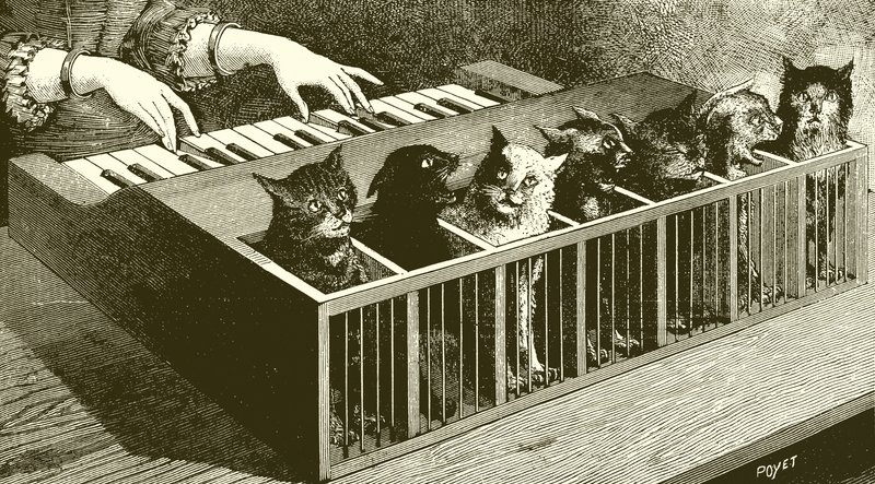 猫的钢琴 作者 英语学校