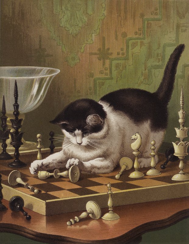 提卜下棋（chromolitho） 作者 英语学校