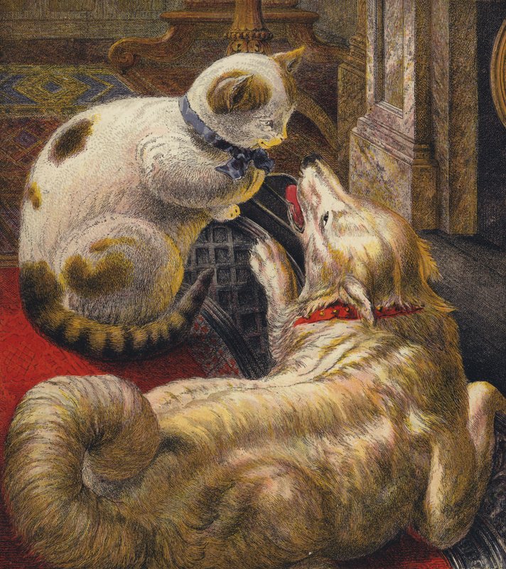 Tittums和Fido 作者 英语学校