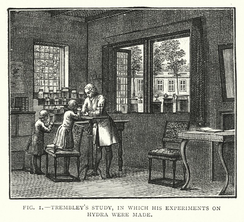 Trembley 的研究，其中进行了他对九头蛇的实验（雕刻） 作者 英语学校