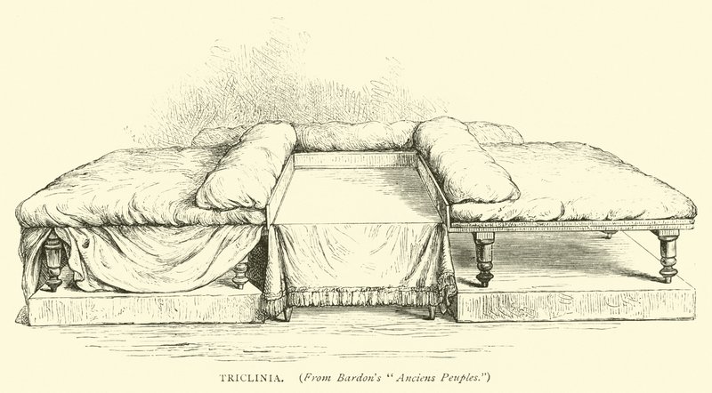 triclinia 作者 英语学校