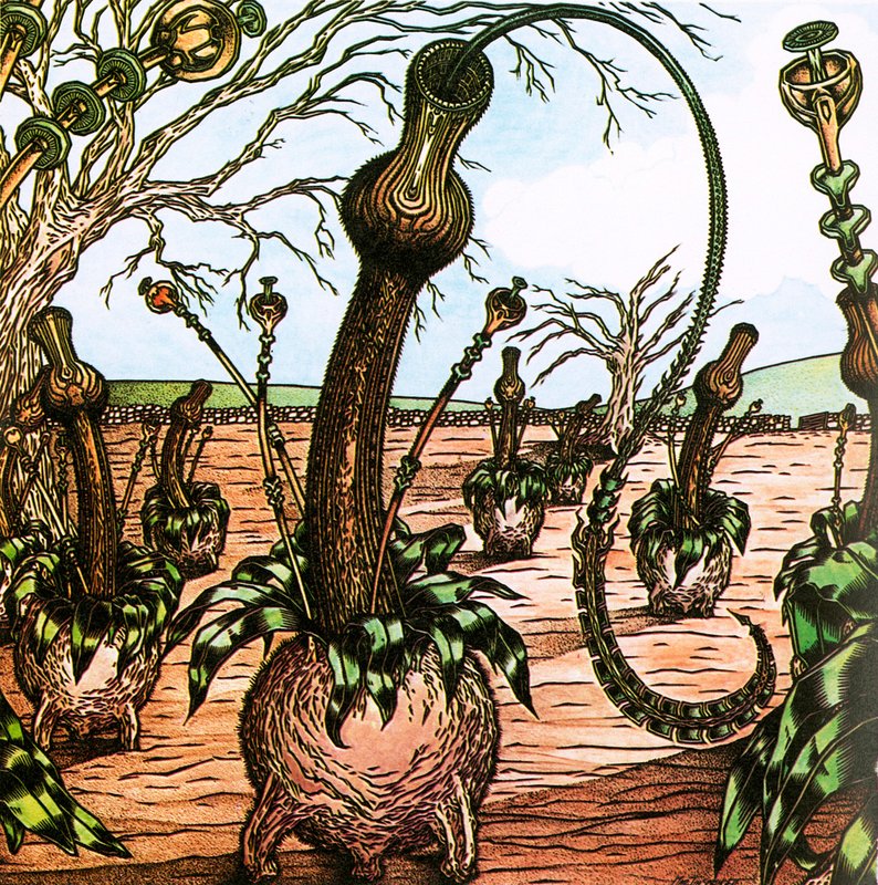 Triffids 作者 英语学校