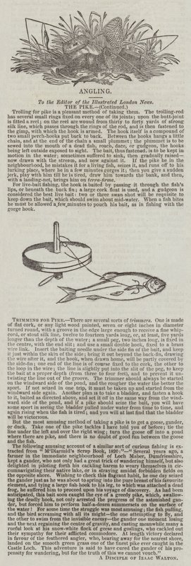 梭子鱼修边（雕刻） 作者 英语学校