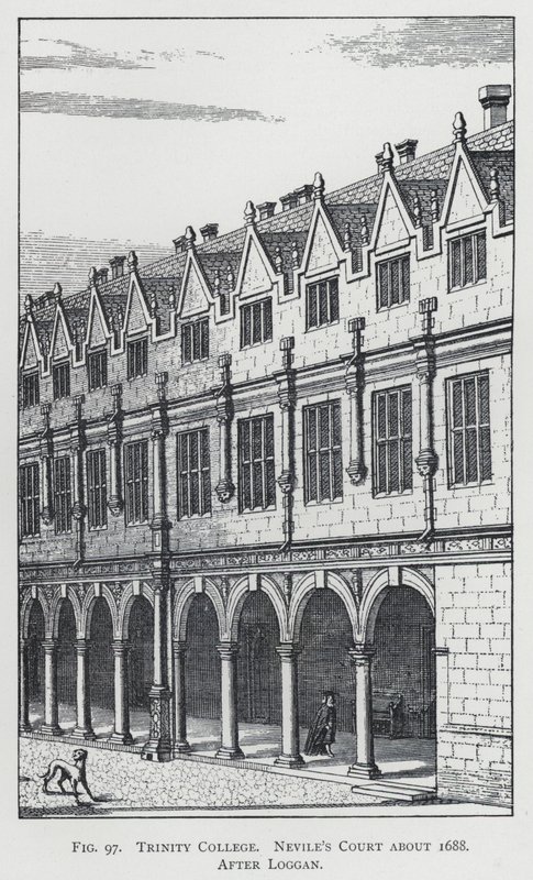 三一学院，Nevile
