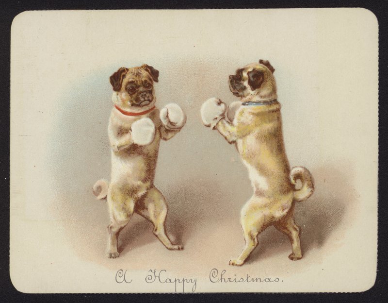 Two dogs boxing (chromolitho) 作者 英语学校