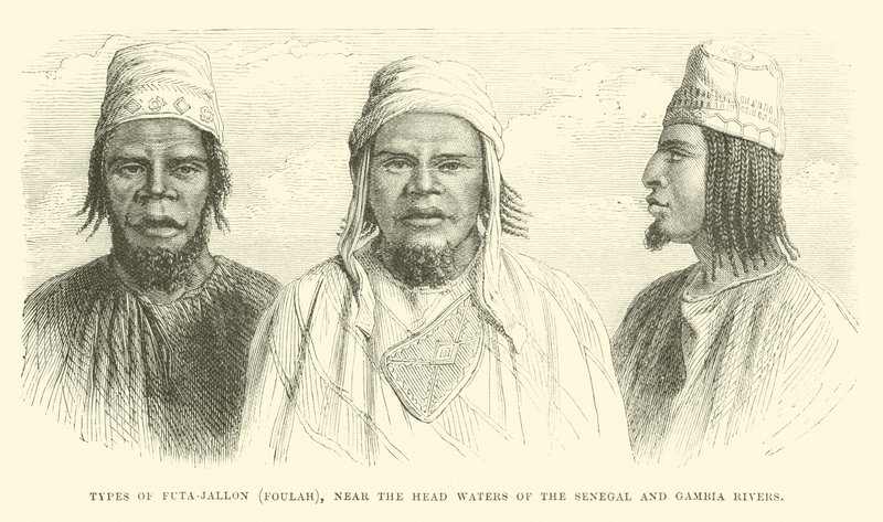 Futa-Jallon，Foulah的类型，靠近塞内加尔和冈比亚河的水域 作者 英语学校