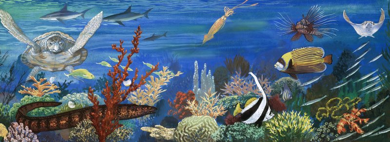 身份不明的海底生物，包括五颜六色的鱼和乌龟 作者 英语学校