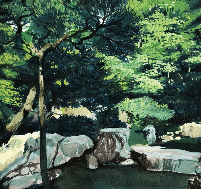 身份不明的林地场景 作者 英语学校