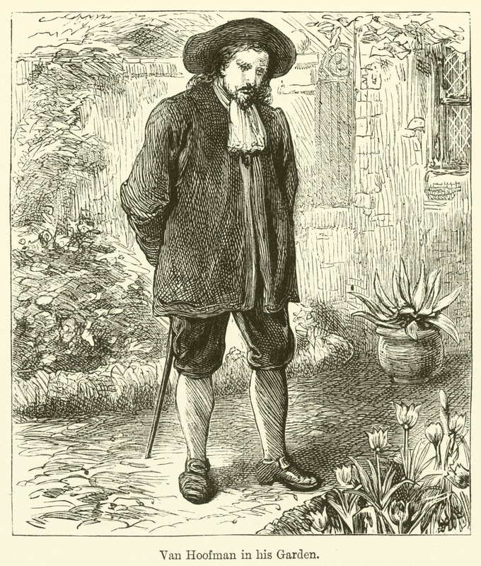 范霍夫曼在他的花园里（雕刻）。 作者 英语学校