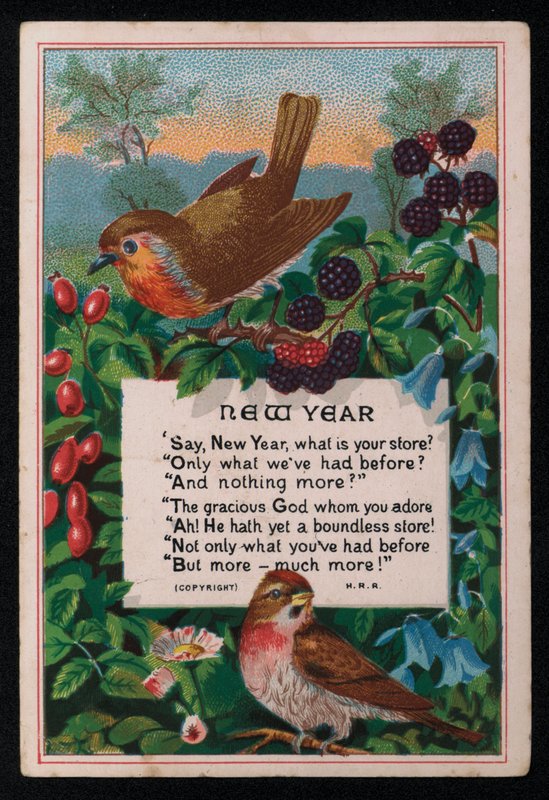 诗歌，浆果和鸟类，新年贺卡。 （色光） 作者 英语学校