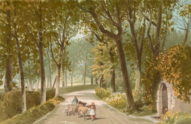 Vinchelez Lane  - 泽西岛 作者 英语学校