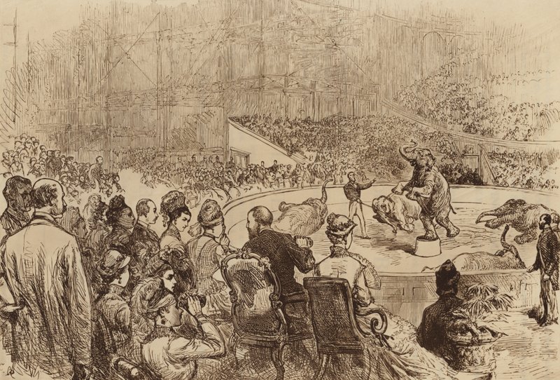 1876年参观威尔士王子和公主以及希腊国王和王后 作者 英语学校