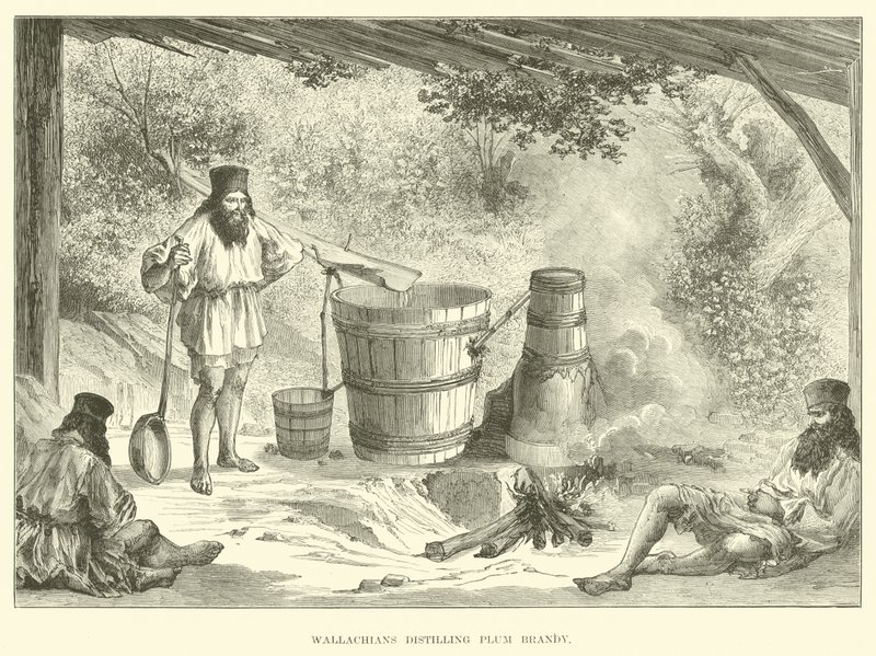 Wallachians蒸馏梅子白兰地 作者 英语学校
