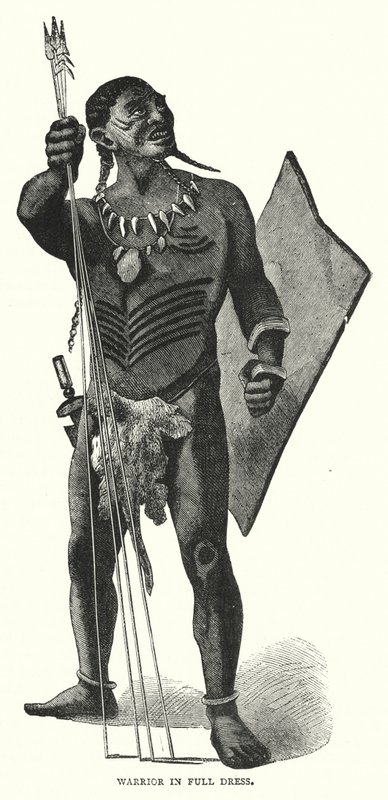 Warrior in Full Dress (engraving) 作者 英语学校