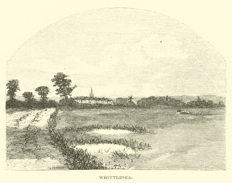 Whittlesea 作者 英语学校