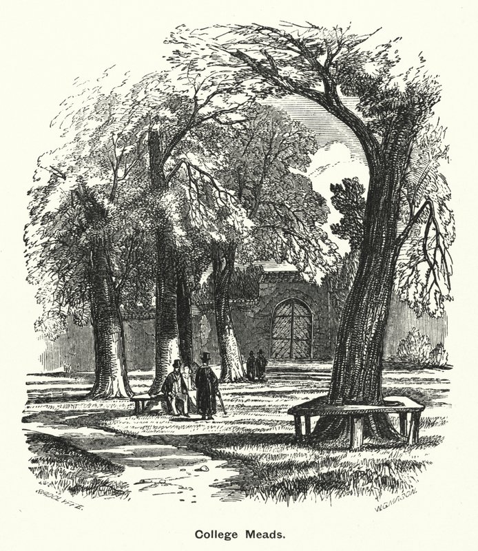 温彻斯特学院。College Meads（雕刻）。 作者 英语学校