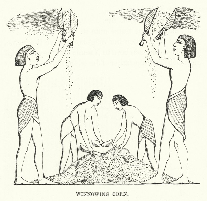Winnowing Corn (engraving) 作者 英语学校