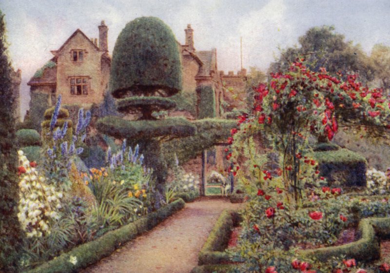 Levens Hall 草本边界中的翠雀（彩色石版画） 作者 欧内斯特·亚瑟·罗