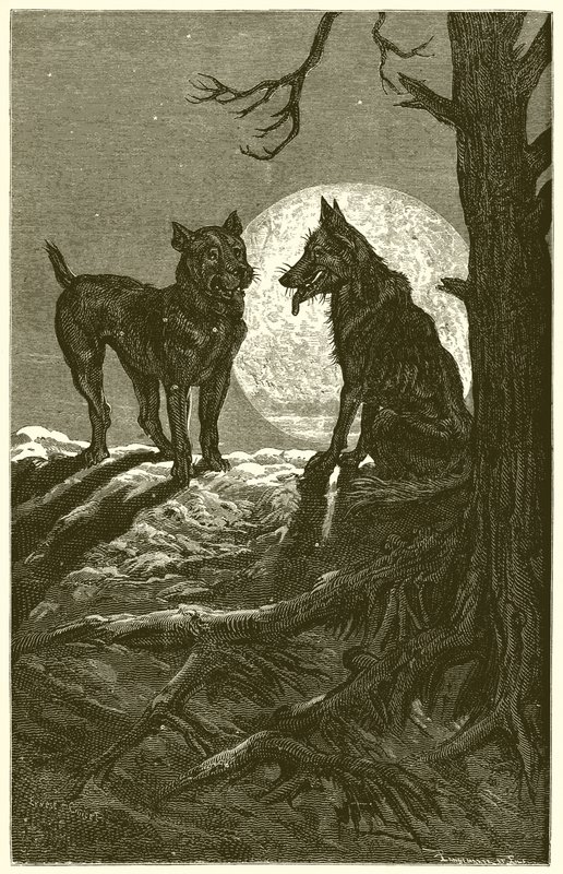 狼和獒犬 作者 欧内斯特·亨利·格里斯特